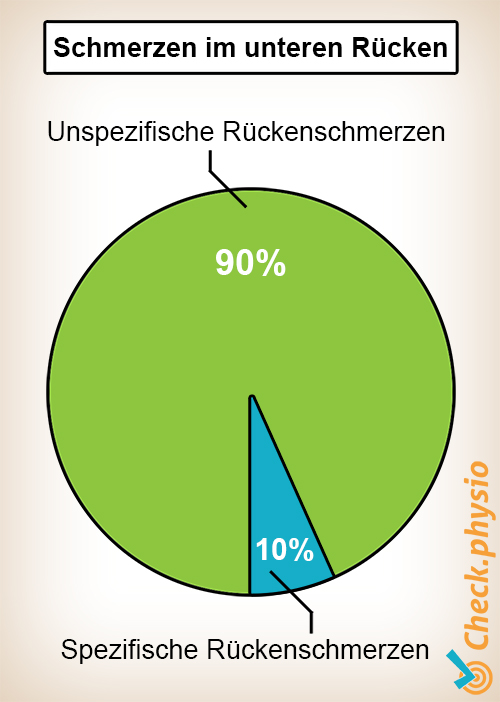 Rücken unterer Rückenschmerz aspezifisch spezifisch Kreisdiagramm
